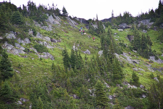 Mt. Trudeau, Canada - Almost Bananas